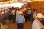 Expo Ganadera